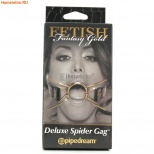 Кляп-рамка Fetish Deluxe Spider Gag