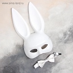 Карнавальный набор «Малышка на миллион» маска, бабочка