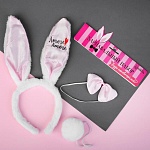 Карнавальный набор зайка