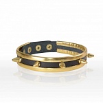 Ошейник с шипами 