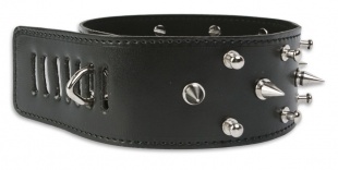 ОШЕЙНИК ЧЕРНЫЙ С ШИПАМИ ПИКАНТНЫЕ ШТУЧКИ