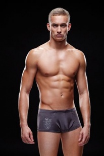 Трусы хипсы, мужские с лого "Envy", серые